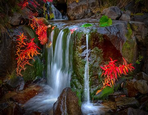 Waterfall Nature Colorful Leaves Moss Red Landscape Wallpapers Hd