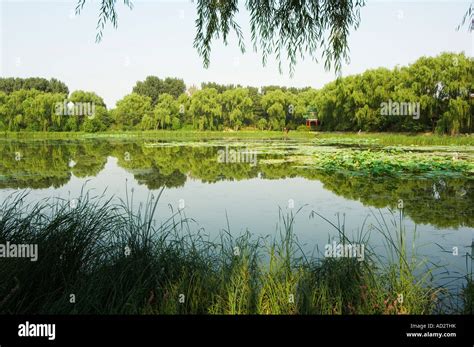 Yuanmingyuan Old Summer Palace Beijing China Stock Photo Alamy