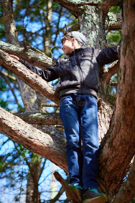 Teenage Boy Playing Outdoor Climbing A Tree Bright Sunlight