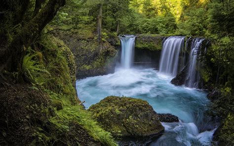Beautiful Waterfall Blue Water Rocks Green Forest Hd Desktop 2560x1600
