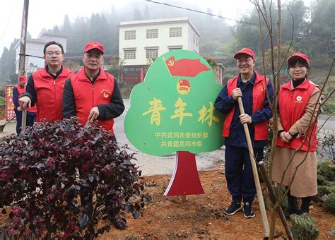 党建带团建 共建“先锋林”要闻动态武冈市人民政府