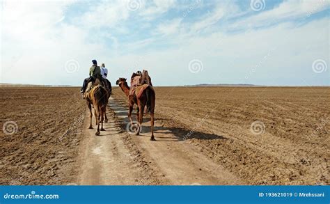 Camel Riding As A Caravan In Desert Editorial Stock Image Image Of