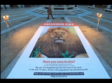 National Geographic Missing Cats By Tin Man Creativebrief