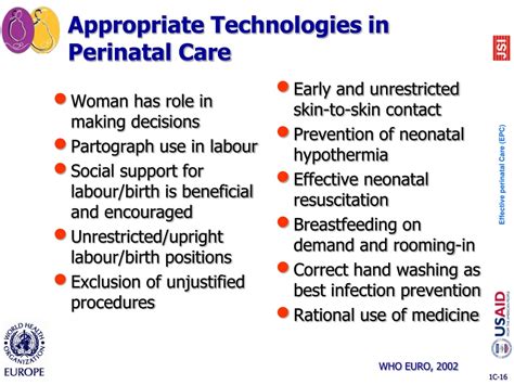 Ppt Safe Childbirth And Effective Perinatal Care Are Changes
