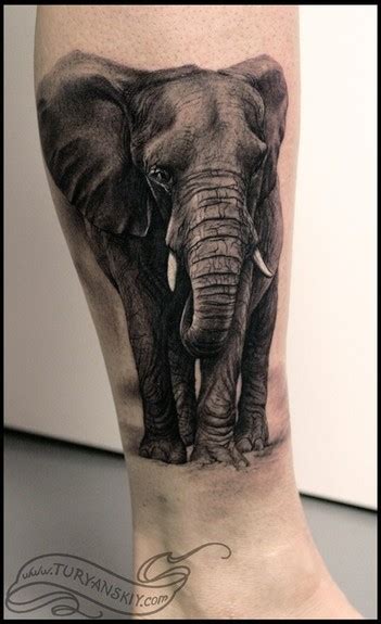 Wild Tattoos Elephant Tattoos For Women