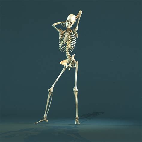 Sassy Skeleton Skeleton Drawings Posing Skeletons Skeleton Anatomy