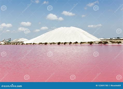 Salt Marshes In Aigues Mortes Stock Image Image Of Colored Pink