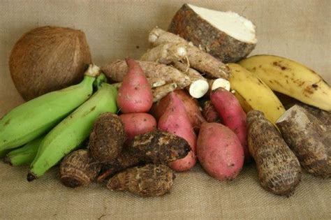 These Are Some Favourite Jamaican Foods That I Grew Eating Coconut
