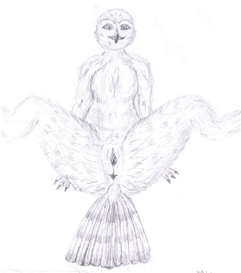 Rule 34 Anus Avian Bird Feathers Flat Chested Owl Pussy Spread Legs