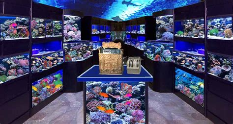 5 Best Aquarium Stores In Brisbane Mediatimes