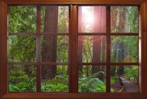 Wall Mural Window Self Adhesive Forest Window View 3 Sizes