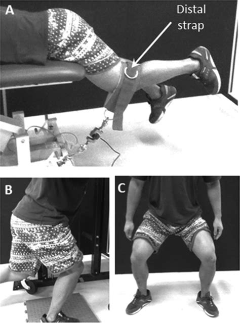 Evaluating Gluteus Maximus Maximal Voluntary Isometric Contractions For