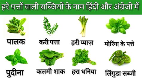 Green Leafy Vegetables Names In Hindi And English With Pictures हरे
