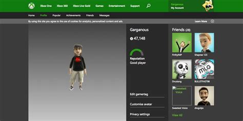 Xbox Gamertag Profile Best Player Profile User Profile