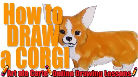 Draw the shape of the chest and then draw the two front stubby legs. Drawing a Corgi Dog - YouTube