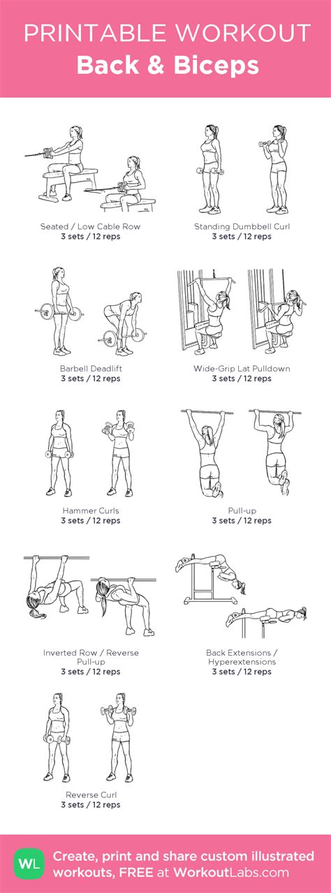 Back And Biceps Workout Posted By Bicep