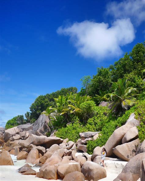 Grand Anse Seychelles Most Beautiful Beaches Seychelles Honeymoon