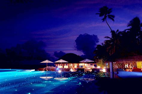 Heavenly Night Beach Maldives Summer Tropical Night Hd Wallpaper