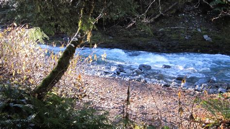 North Fork Skokomish River — Washington Trails Association