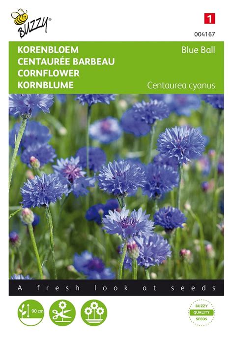Cornflower Flower Seeds Of Buzzy Seeds Fast And Secure Shipping Of