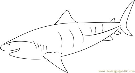Lion king coloring pages printable for kids, adults and preschoolers easy to print and download. Tiger Shark Underwater Coloring Page for Kids - Free Shark ...