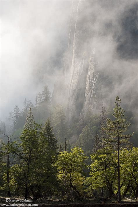 Foggy Wall Yosemite National Park Landscape Mountain And Desert