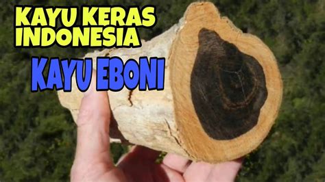We did not find results for: 5 Fakta Tentang Kayu Eboni !! Kayu Hitam Dari Sulawesi ...