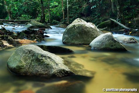 Sungai sedim (rapid fire adventure sdn.bhd) menawarkan pakej di sungai sedim,kulim termasuk sijil jika mahu. HUTAN LIPUR SUNGAI TUA. | Amril Izan Imran | Flickr