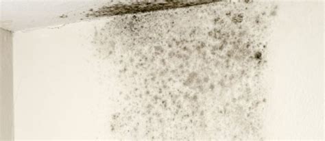 Damp patches on walls in bedroom. How to Stop Penetrating Damp - ProTech Property Solutions