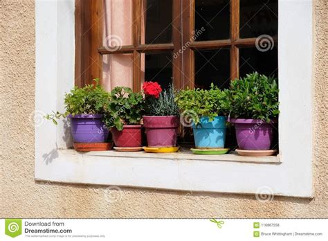 Colourful Flower Pots On Window Sill Galaxidi Greece Stock Photo