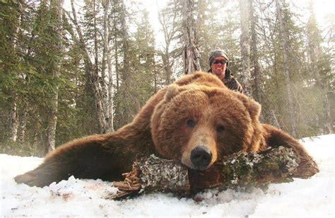 10 Day Brown Bear And Wolf Hunt For One Hunter In Alaska Dallas