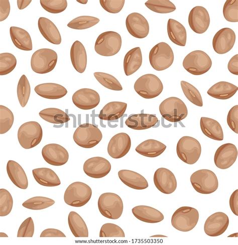 Brown Lentils On White Background Seamless Stock Vector Royalty Free