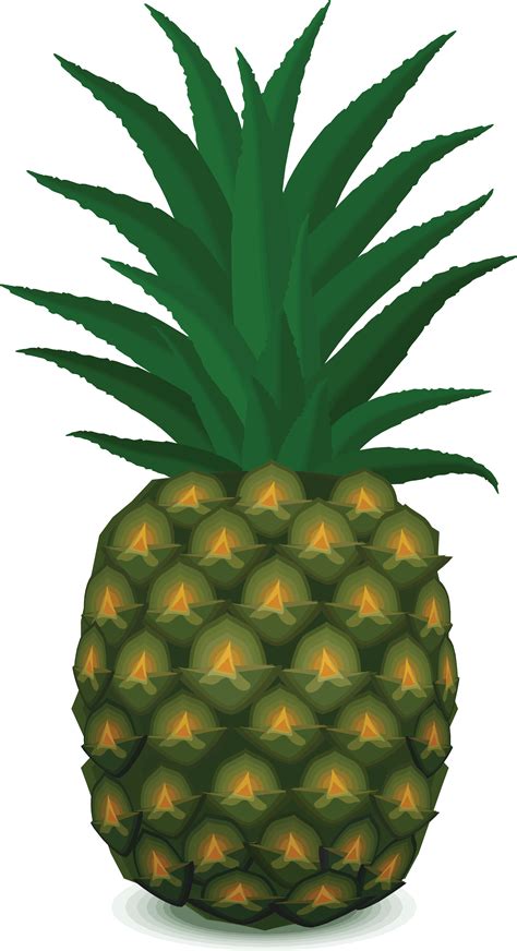 Pineapple Png Download Image Png Svg Clip Art For Web Download Clip