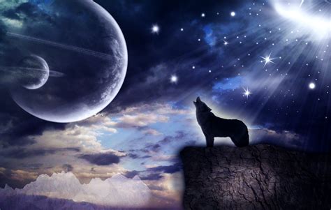 Wolf Howling At The Moon Wallpaper Wallpapersafari