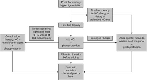 Postinflammatory Hyperpigmentation Springerlink