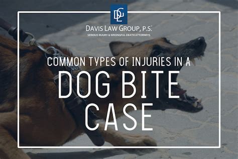 Can You Get Nerve Damage From A Dog Bite