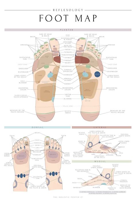 Reflexology Foot Map Chart Print Version 2 250gsm In Sizes Etsy Artofit