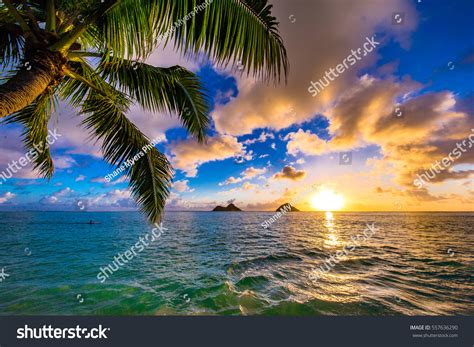 Beautiful Lanikai Kailua Sunrise Hawaii Stock Photo Edit Now 557636290