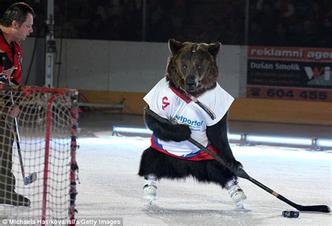 Pictured: Shocking photos of bears forced to ice skate for ...