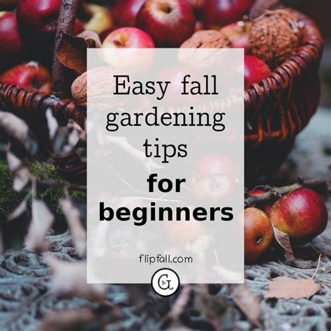 Easy Fall Gardening Tips For Beginners Flipfall Magazine