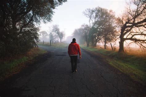Free Images Man Tree Nature Walking Person Sunset Road Mist