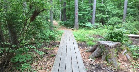 Live Free And Hike A Nh Day Hikers Blog The Mclane Center Audubon
