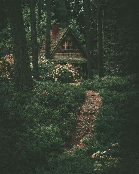 Pin By Haley Wilkinson On Houses Cottage In The Woods Cottage