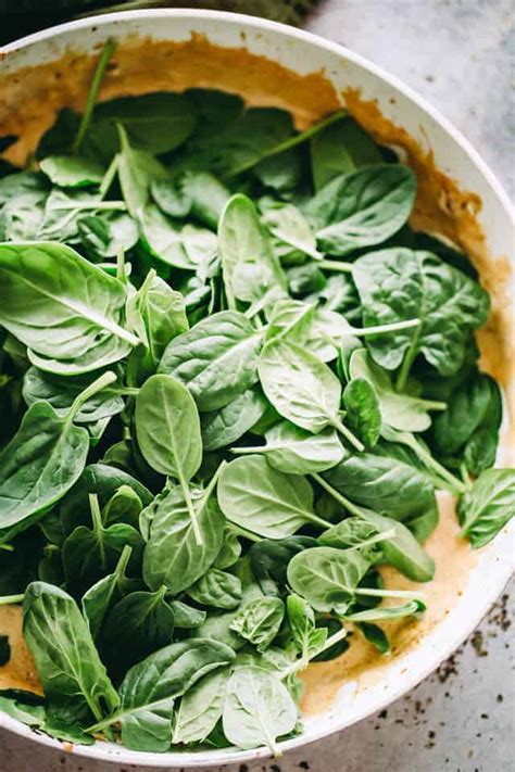 Creamed spinach will make even the most reluctant vegetable eater agree that green leafy vegetables can, in fact, be very tasty! Easy Chicken Breasts Recipe with Creamed Spinach Sauce ...