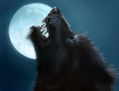 Why Does The Full Moon Cause Werewolf Transformation Ask Mystic