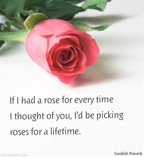 I'd said it before and meant it: 23 Rose Quotes | SO LIFE QUOTES