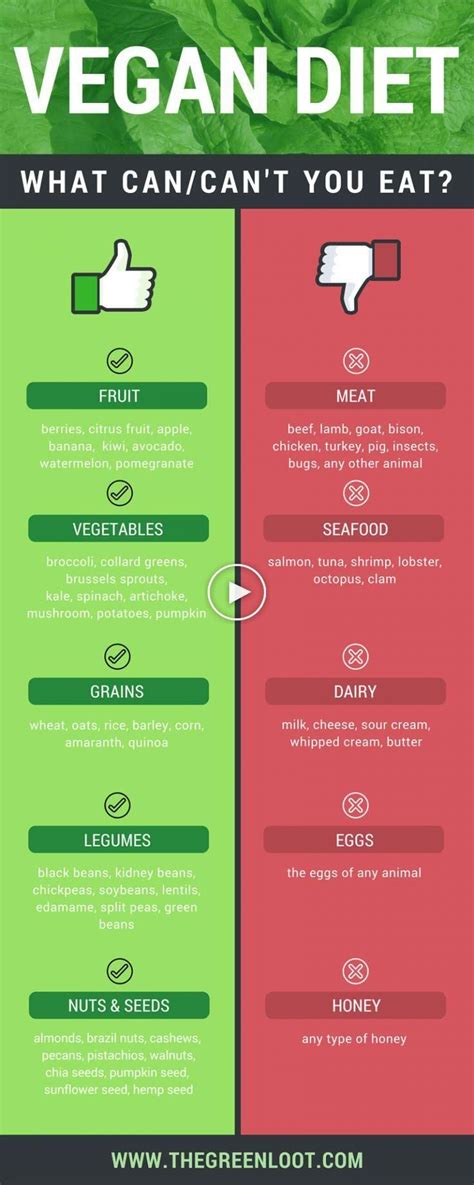 Wat Veganisten Wel En Niet Eten Een Eenvoudige Gids Voor Beginners