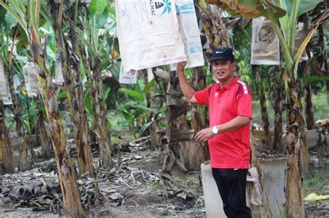 Cop pegawai atau saksi hendaklah mempunyai nama dan jawatan pegawai serta jabatan atau alamat dimana pegawai bertugas. Bekas pegawai kerajaan merasai keseronokan bersara ...