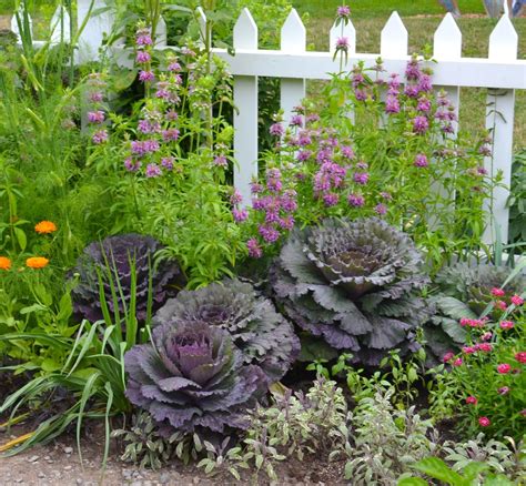 A variety of levels, characterised by pots, plants, patio and paving. New, old foodscaping ideas for any garden in 2020 | Edible ...