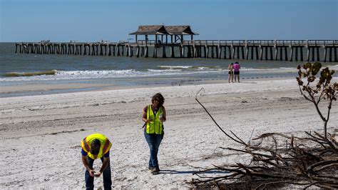 More Collier beaches open but use caution, watch for 'hidden dangers'